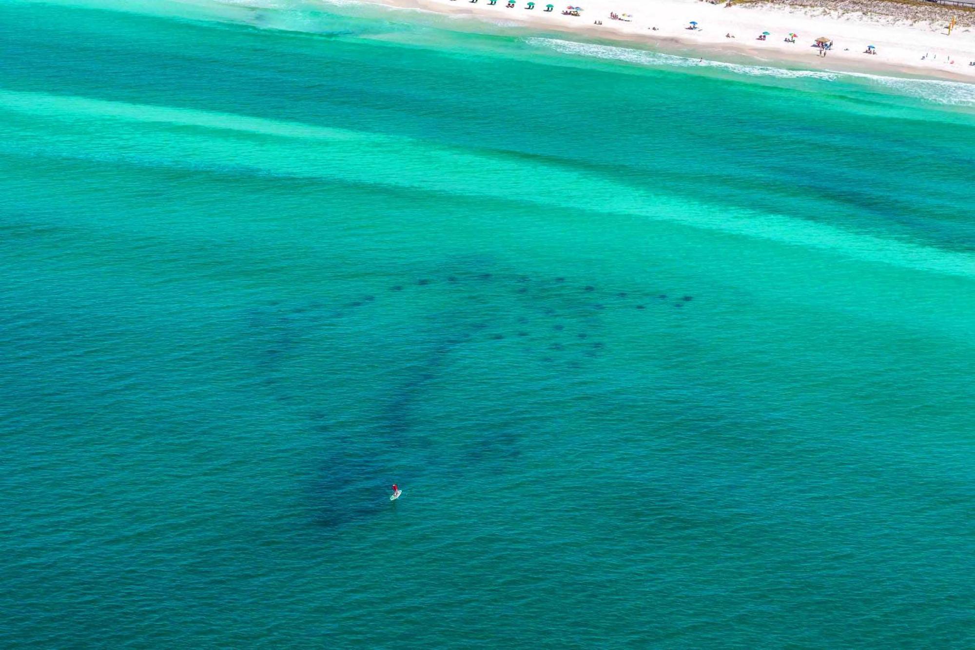 Ariel Dunes I 1502 دستين المظهر الخارجي الصورة